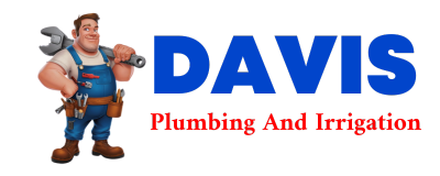 Trusted plumber in PAHALA